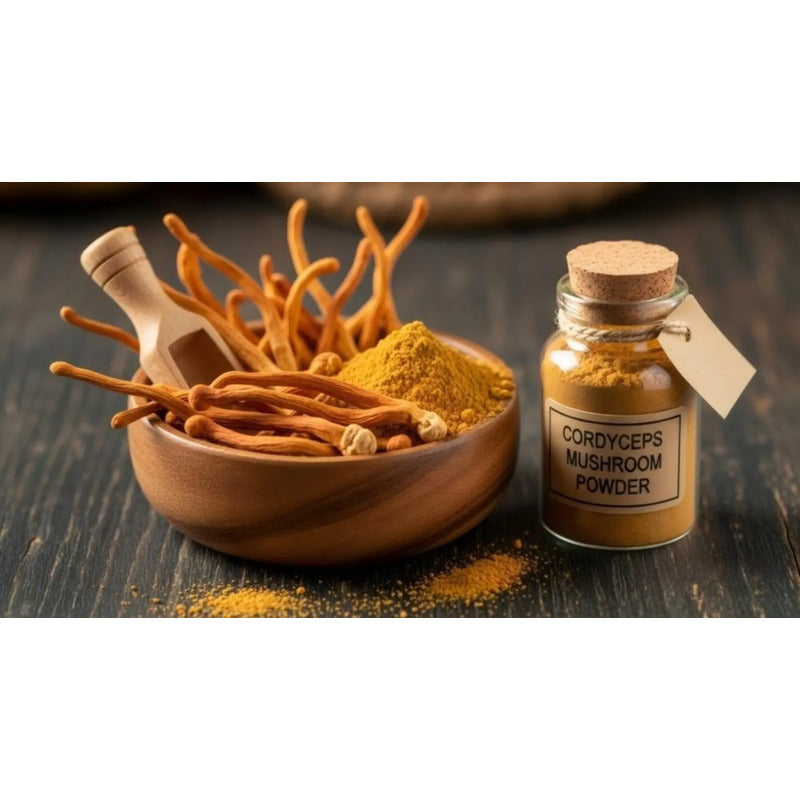 Hongo Cordyceps En Polvo 100g